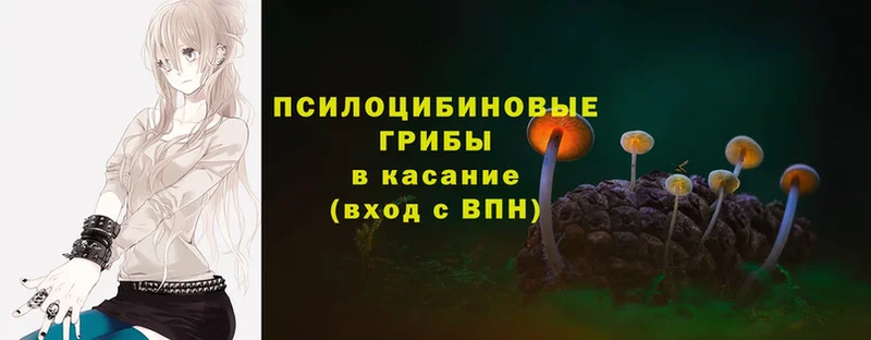 Псилоцибиновые грибы MAGIC MUSHROOMS  Берёзовский 